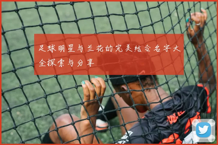足球明星与兰花的完美结合名字大全探索与分享