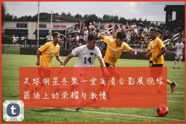 足球明星齐聚一堂高清合影展现绿茵场上的荣耀与激情
