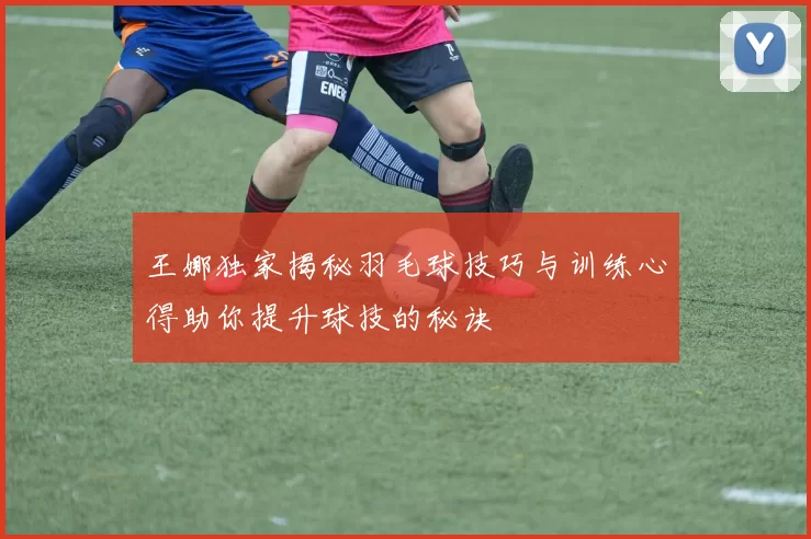 王娜独家揭秘羽毛球技巧与训练心得助你提升球技的秘诀