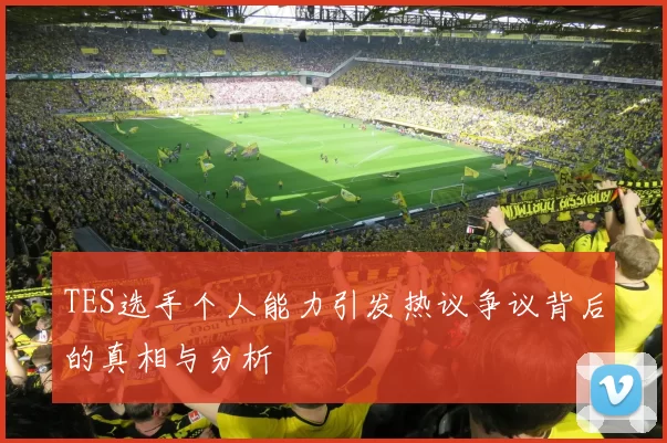 TES选手个人能力引发热议争议背后的真相与分析