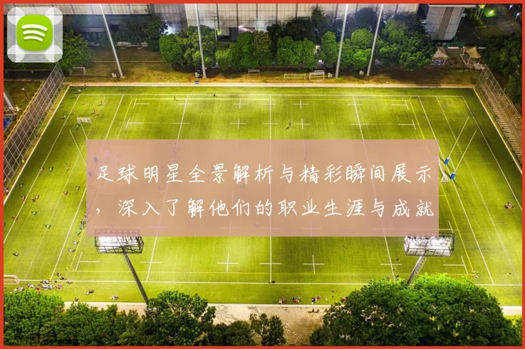 足球明星全景解析与精彩瞬间展示，深入了解他们的职业生涯与成就