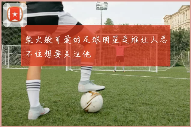 柴犬般可爱的足球明星是谁让人忍不住想要关注他