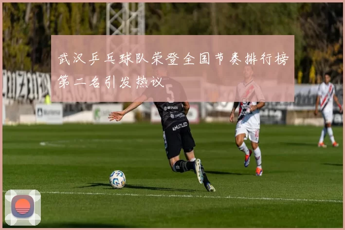 武汉乒乓球队荣登全国节奏排行榜第二名引发热议